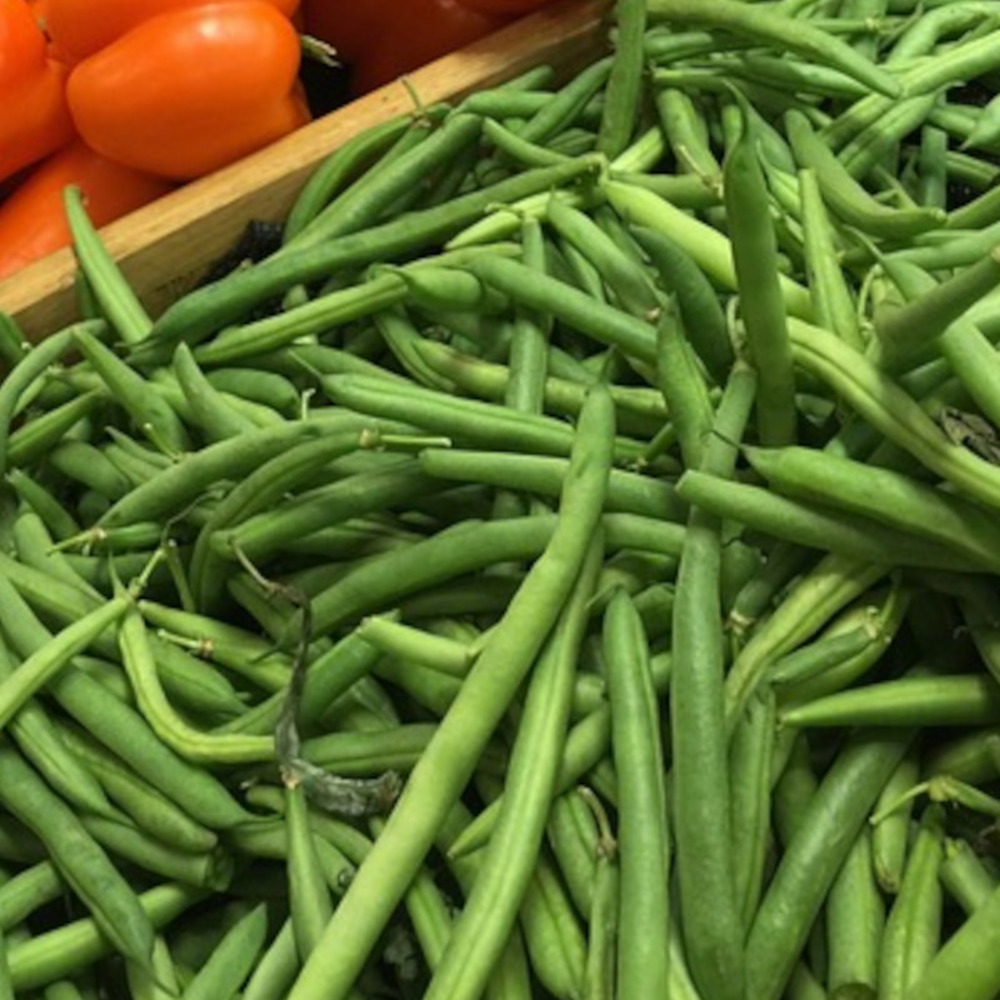 Graines de haricot grimpant vert sans fil blanc de juillet - vilmorin sachet