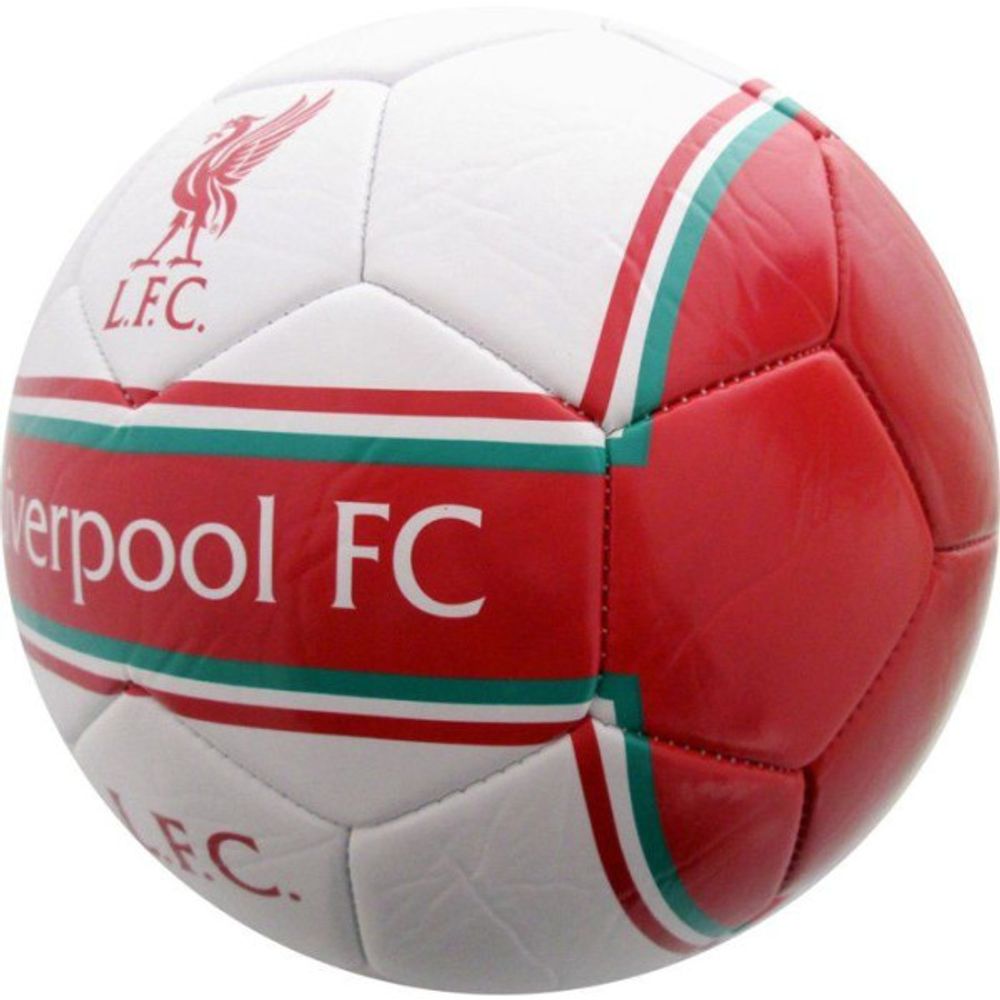 Ballon de football - manchester city - t5