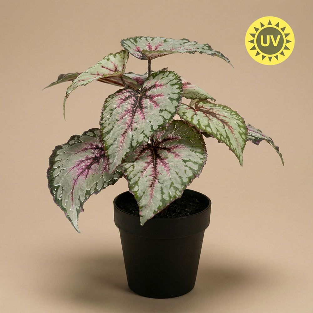 Begonia plante artificielle h26 cm pot inclus