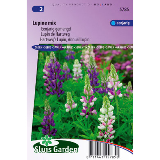 Lupin annuel en mélange le sachet de 80 graines environ (1,5g)