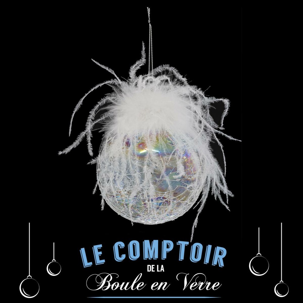 Boule de noël en verre 100 mm irisé plume