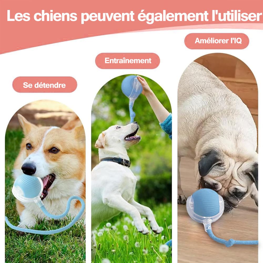 Balle Interactive Chien Intelligente électrique - Sons D'oiseaux, évitement Obstacles, Rechargeable USB-C