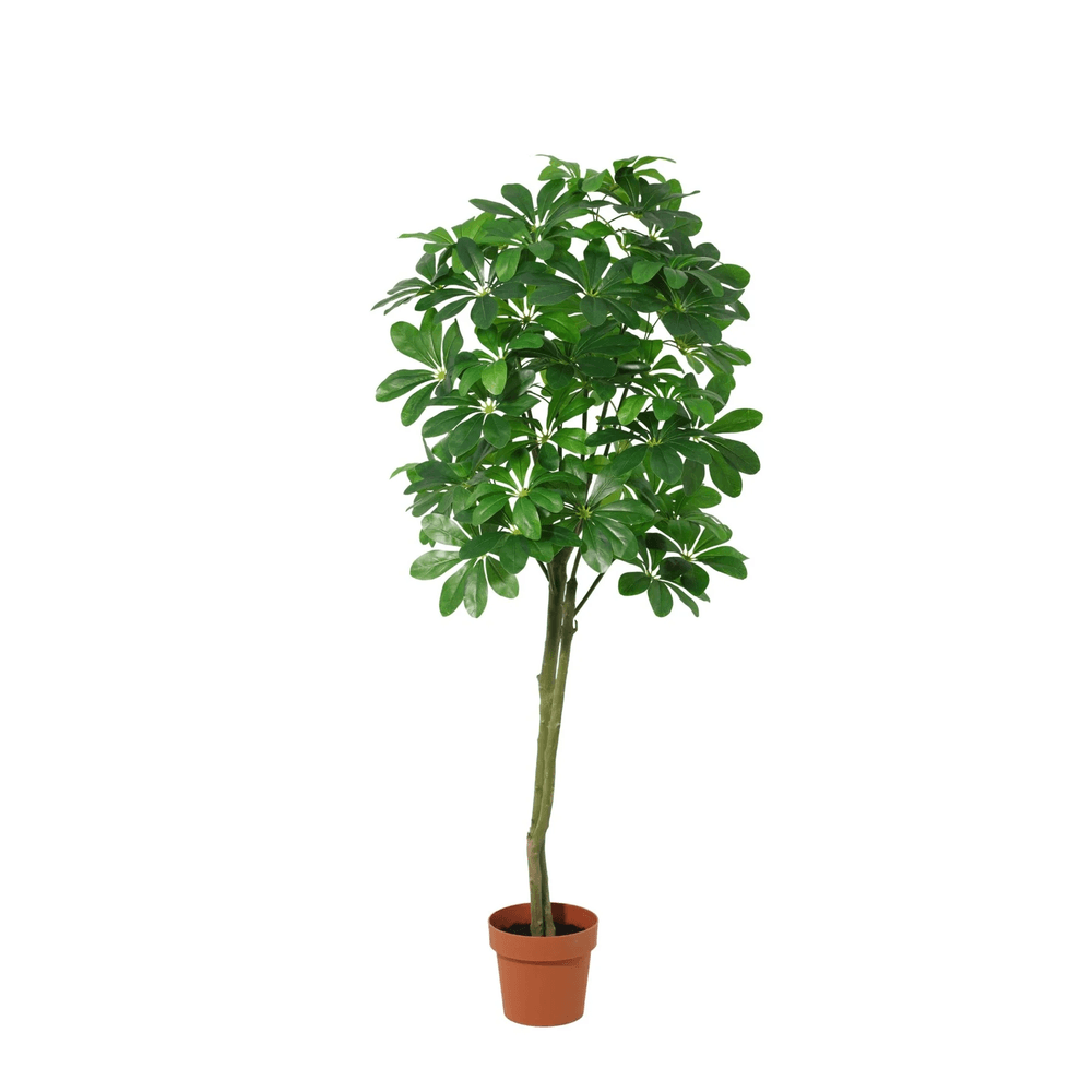 Pachira aquatica - 150cm - ø22cm - plante artificielle