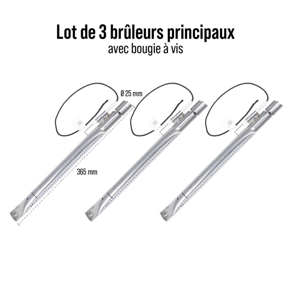 Lot 3 brûleurs avec bougie a vis