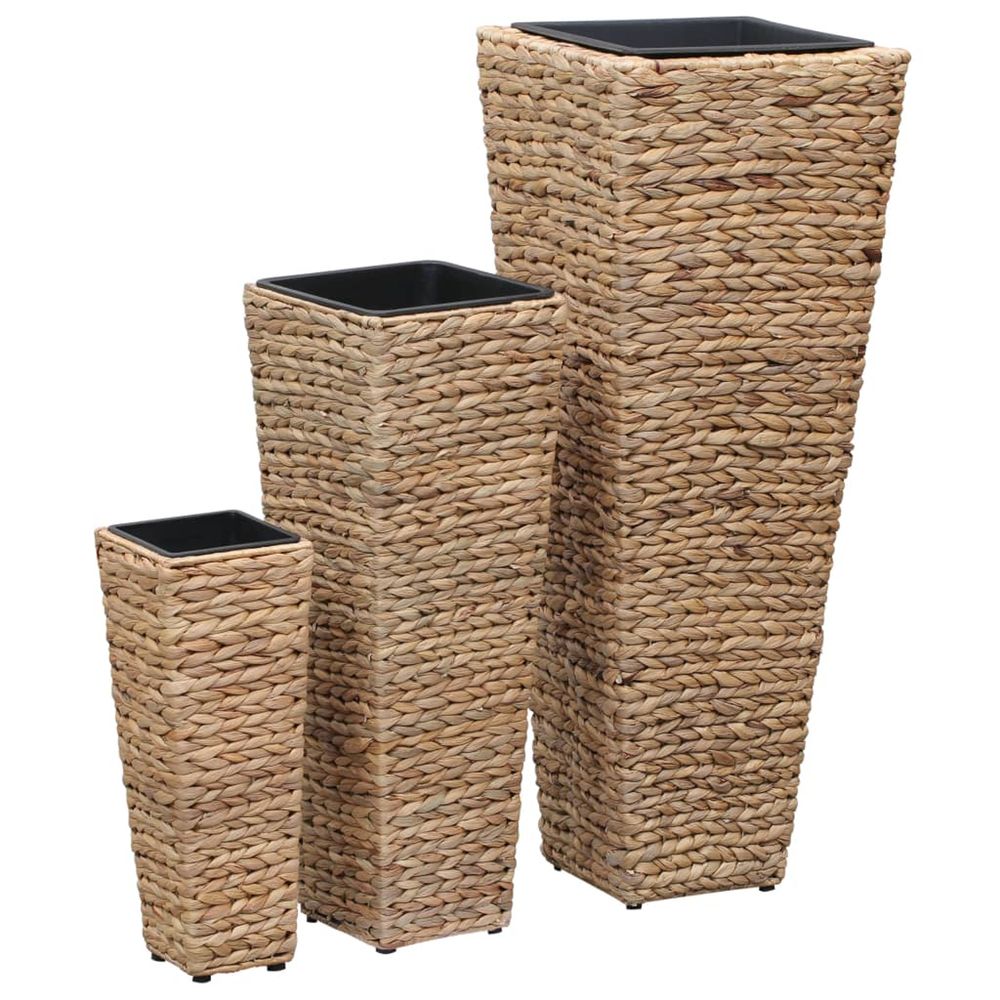 JardiniÃšres 3 pcs Jacinthe d'eau Marron