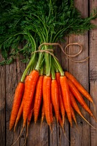 Sachet de graines de carotte longue de colmar=flakkee - sachet de 6 grammes - petite entreprise française