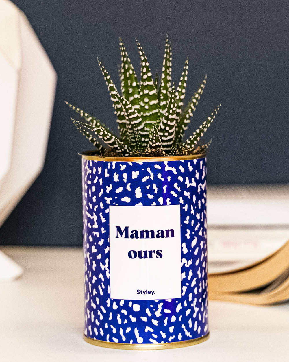 Plante à message - maman ours - cactus