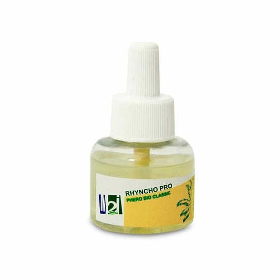 Recharge phéromone charançons du palmier pro caps