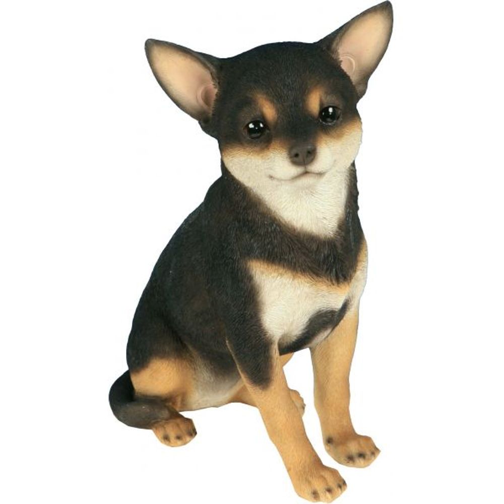 Chihuahua assis en résine 24 cm