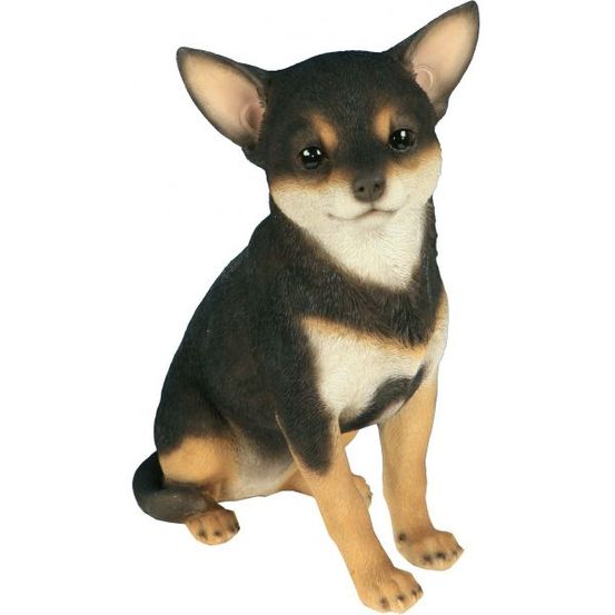 Chihuahua assis en résine 24 cm