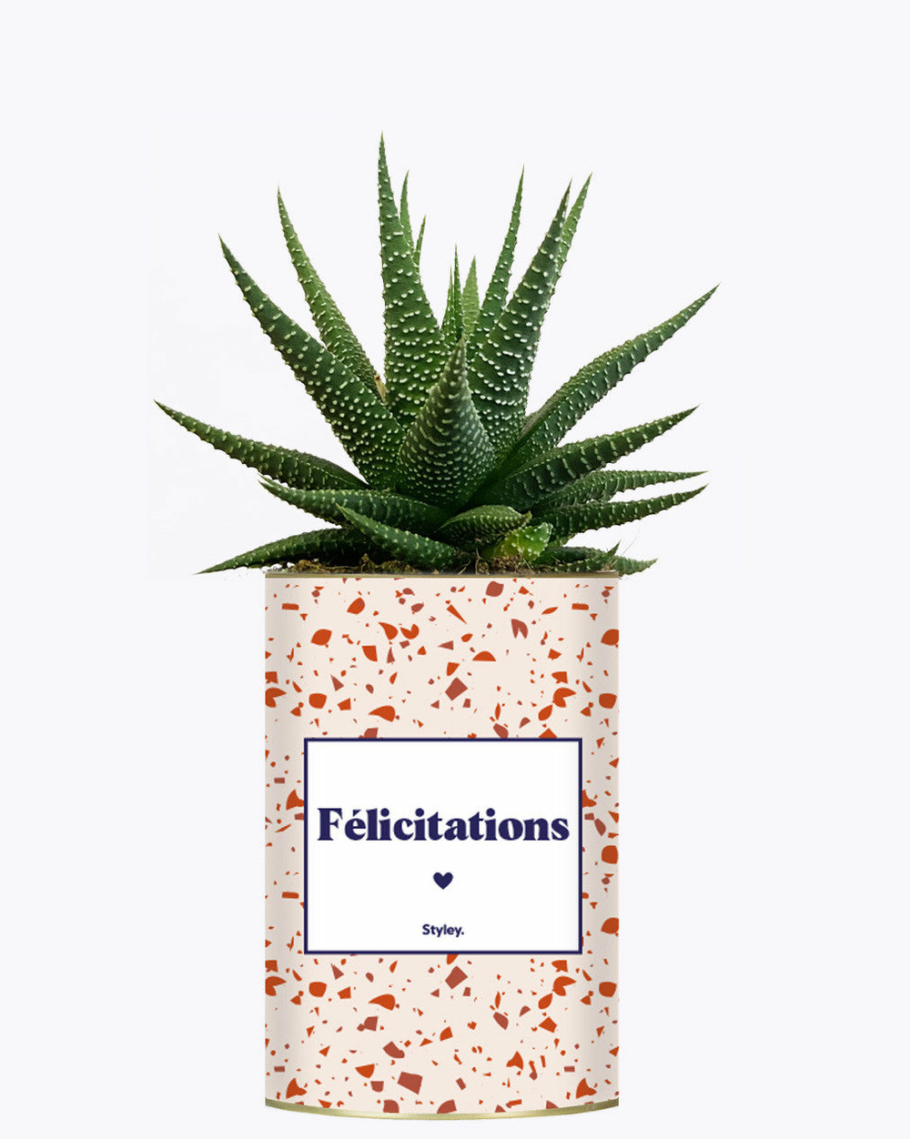 Plante personnalisée - félicitations - cactus