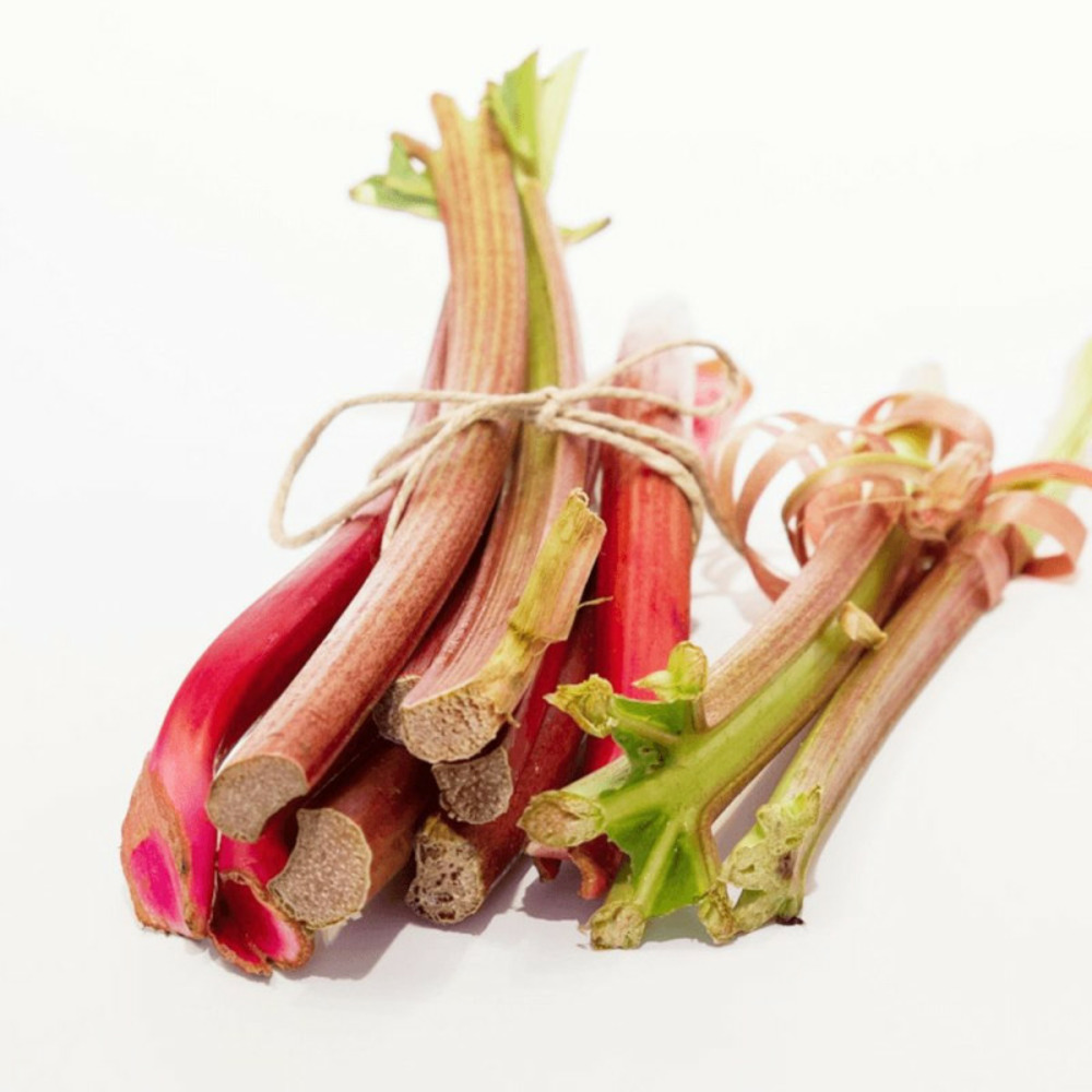 Plants de rhubarbe des jardins victoria pot de 1l