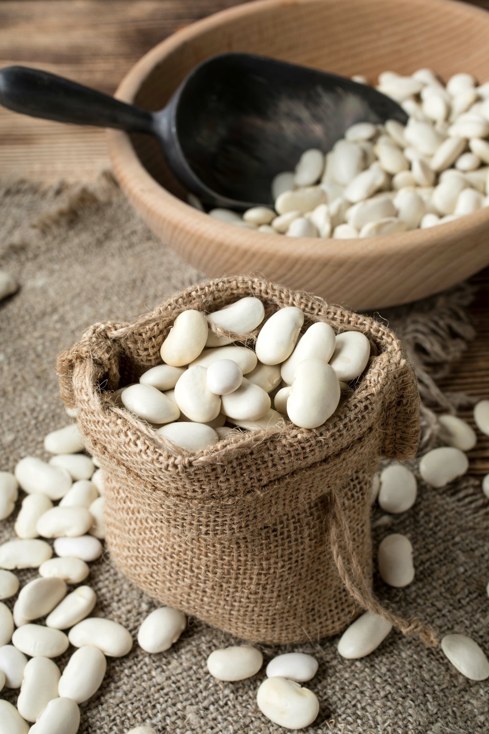 Sachet de graines de haricot nain à écosser cocagne (type coco paimpolais) - sachet de 90 grammes - made in france