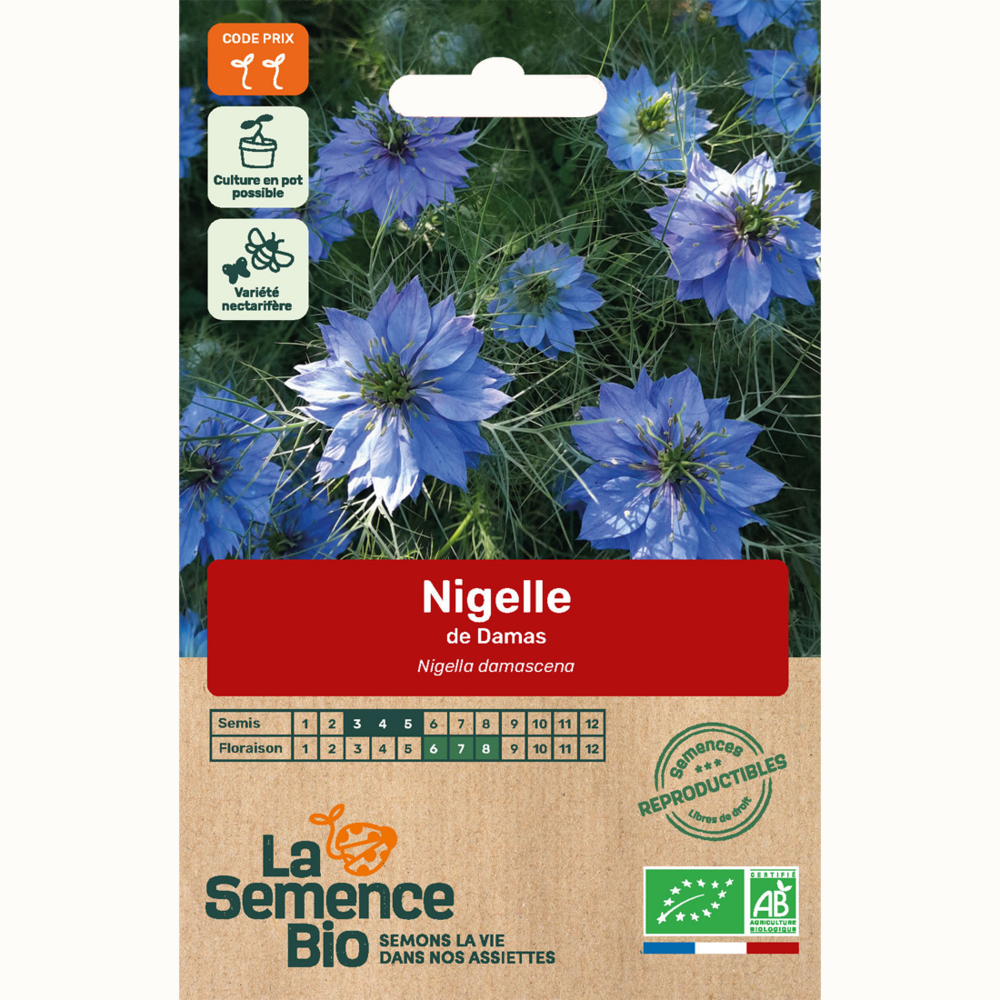 Nigelle de damas - graines bio