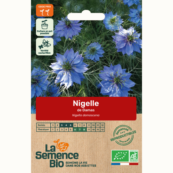 Nigelle de damas - graines bio