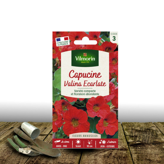 Graines de capucine valina écarlate - vilmorin sachet