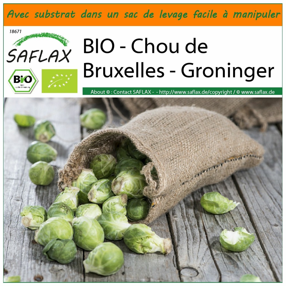 Garden in the bag - bio - chou de bruxelles - groninger - 30 graines - brassica oleracea var. Gemmifera