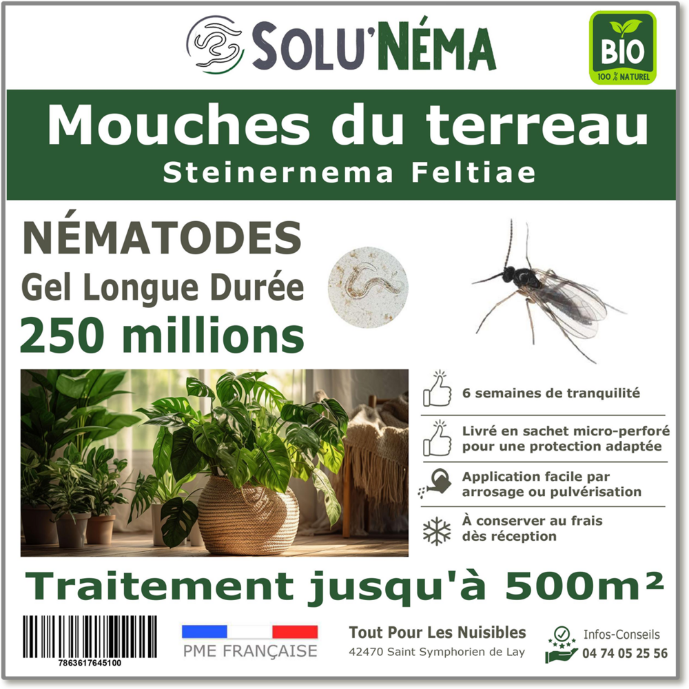 Solunéma - mouches du terreau 250 millions nématodes - (sf)