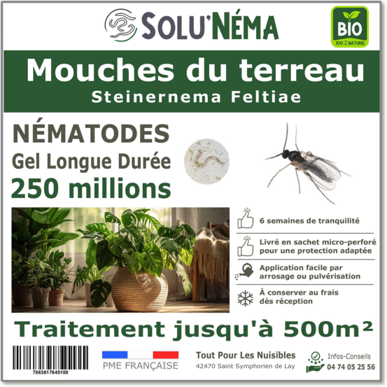 Solunéma - Nématodes - Mouches du Terreau 250 Millions Steinernema Feltiae (SF)