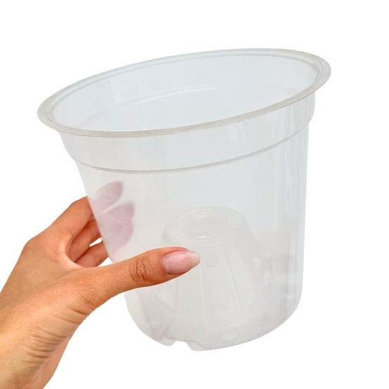 Pot transparent pour plantes - pot transparent troué de culture - pot de 17cm - x5 unités