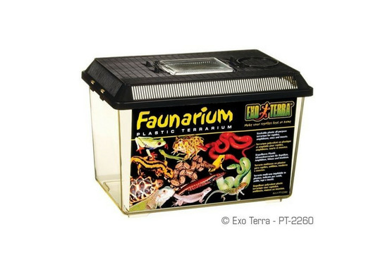 Faunarium - 30 x 19.5 x 20.5 cm pour reptiles