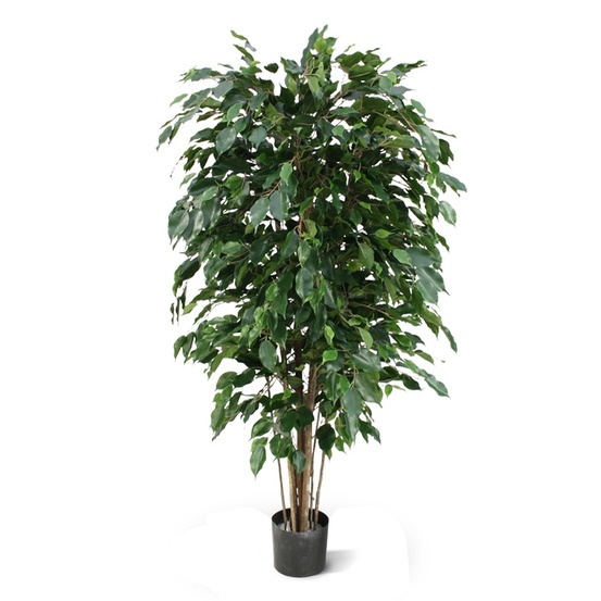 Ficus exotica artificiel deluxe 150 cm vert