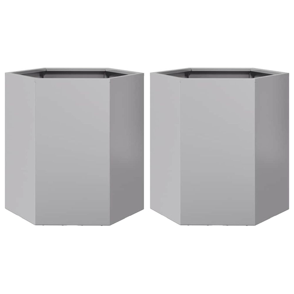 Jardinière d'extérieurs 2 pcs hexagone 46x40x45 cm acier galvanisé
