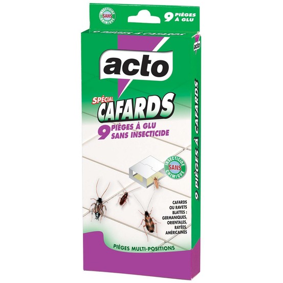 Acto special piège à cafards - elimination efficiente, sans odeur et propre des