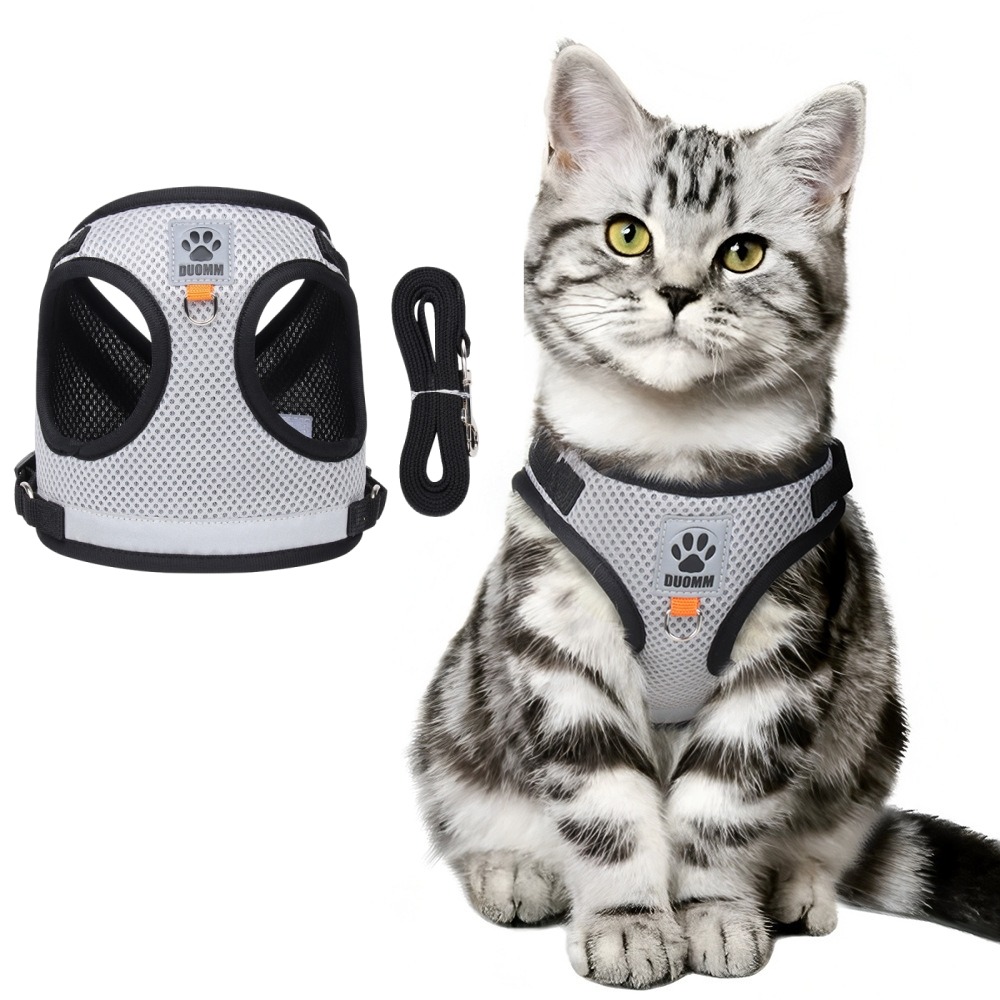 Harnais réfléchissant pour chat xl
