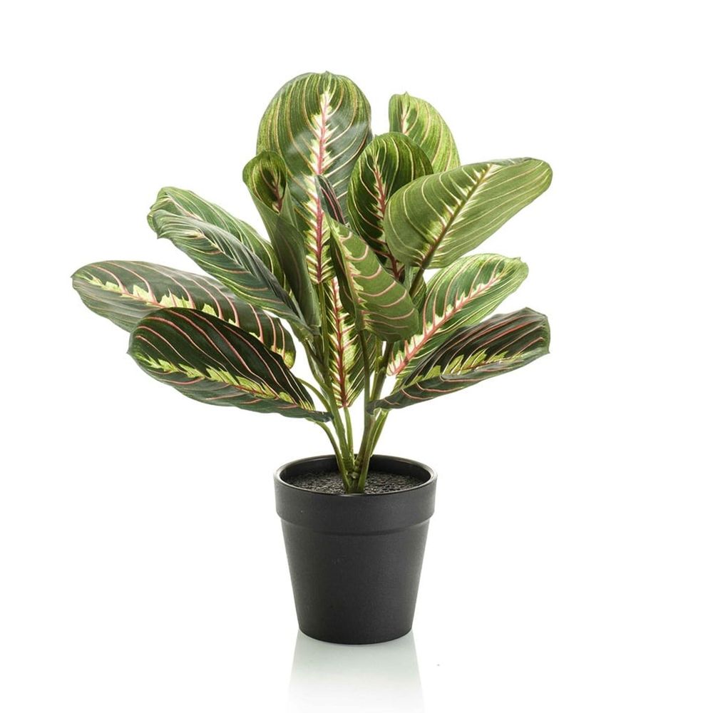 Maranta vert - 30cm - en pot noir - plante artificielle