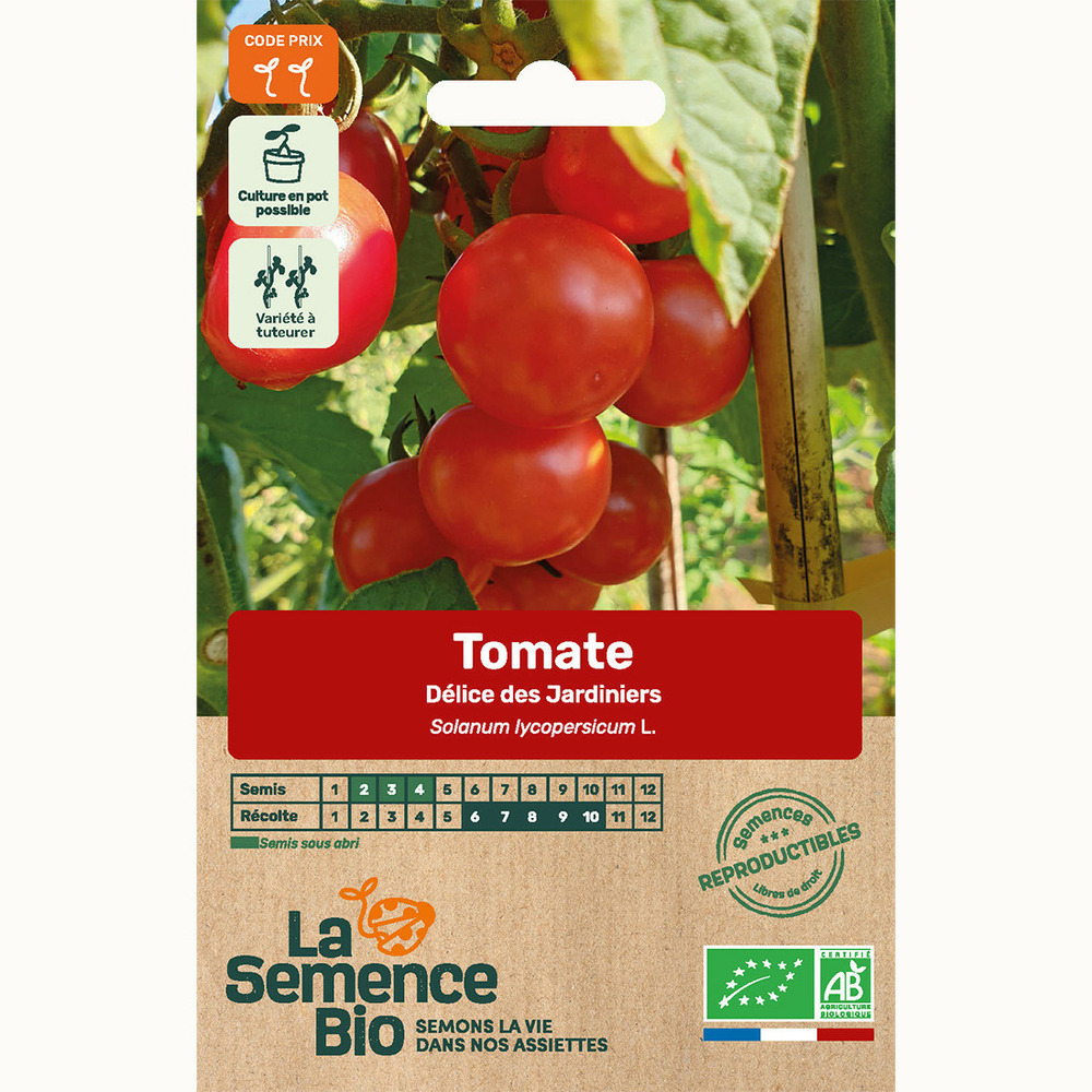 Tomate délice des jardiniers - graines bio