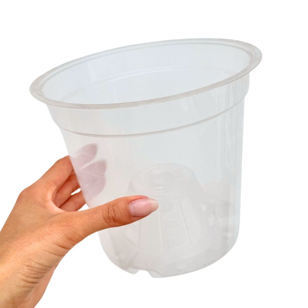 Pot transparent pour plantes - pot transparent troué de culture - pot de 17cm - x3 unités