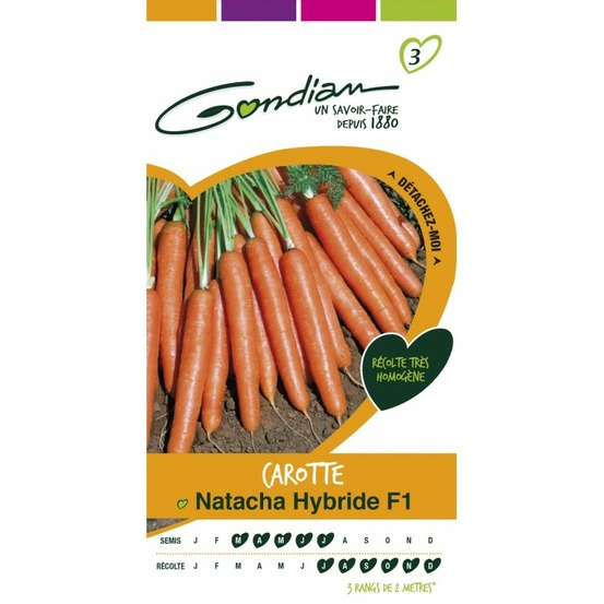 Carotte natacha hybride f1