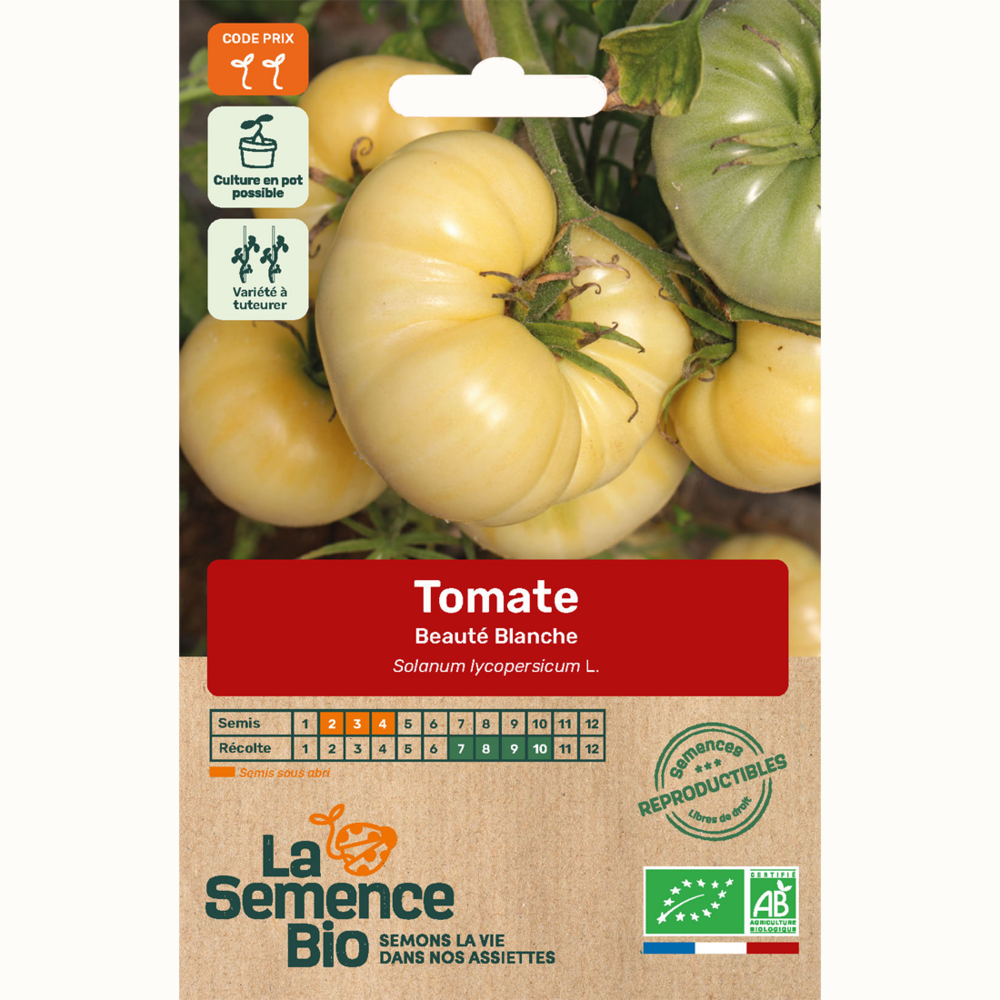 Tomate beauté blanche - graines bio