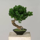 Bonsai artificiel Pinus H 38 X 30 cm Pot coupe en ceramique qualitatif