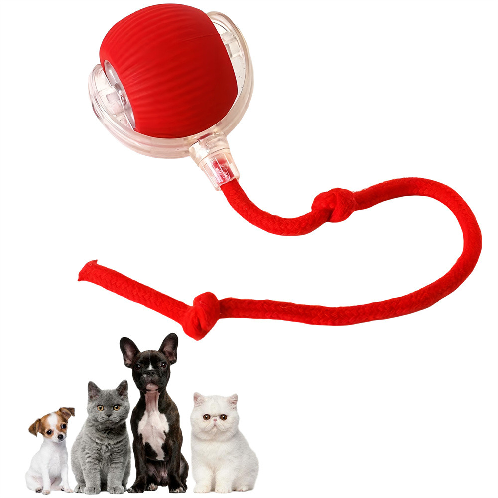 Jouet interactif à ballon pour promener le chien automatiquement rouge