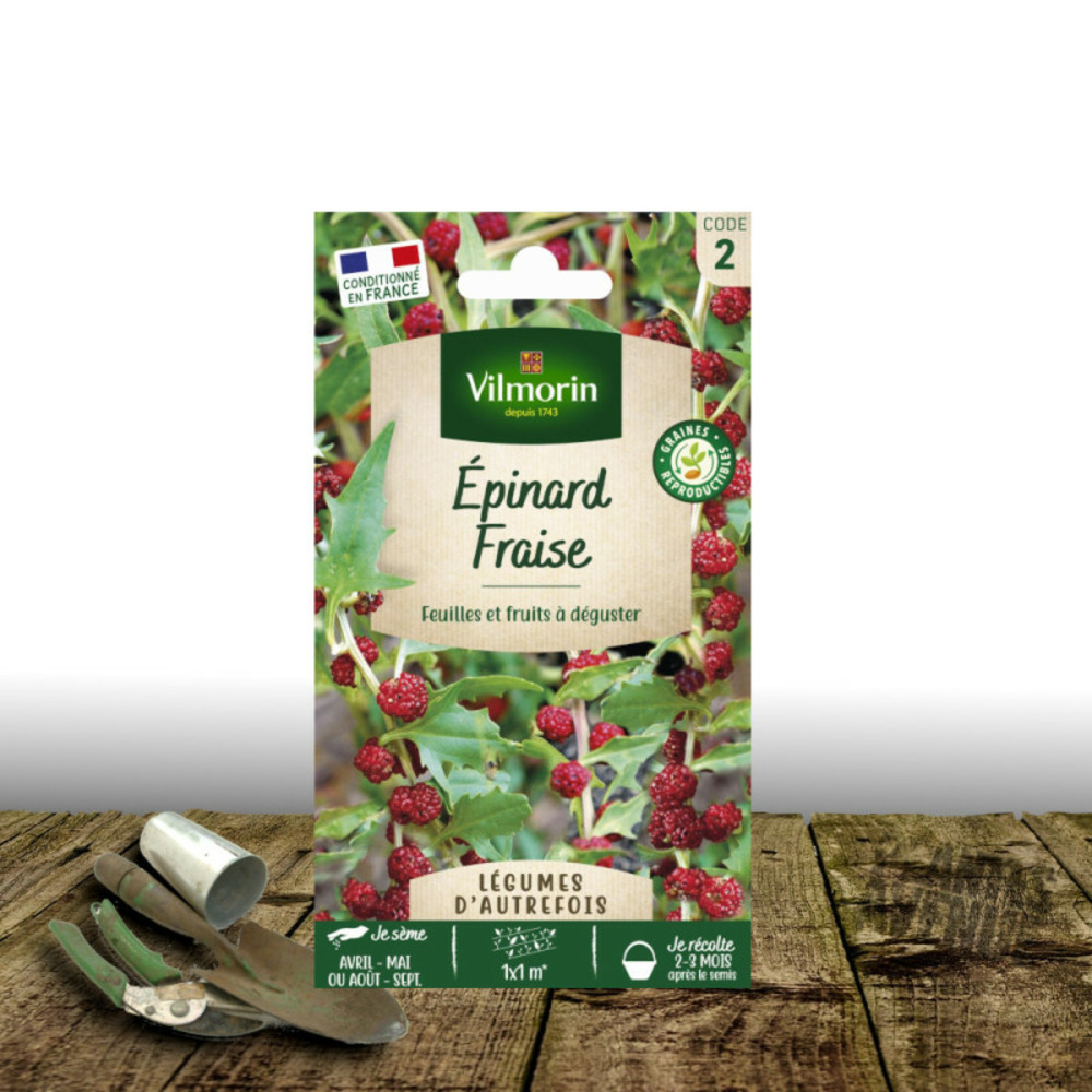 Graines d'épinard fraise - sans traitement - vilmorin sachet