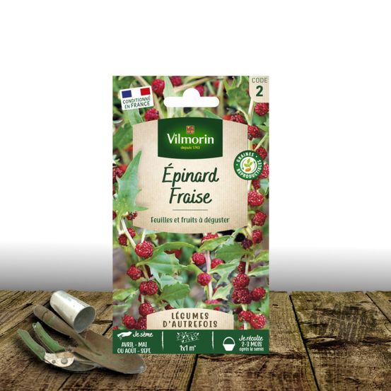 Graines d'épinard fraise - sans traitement - vilmorin sachet
