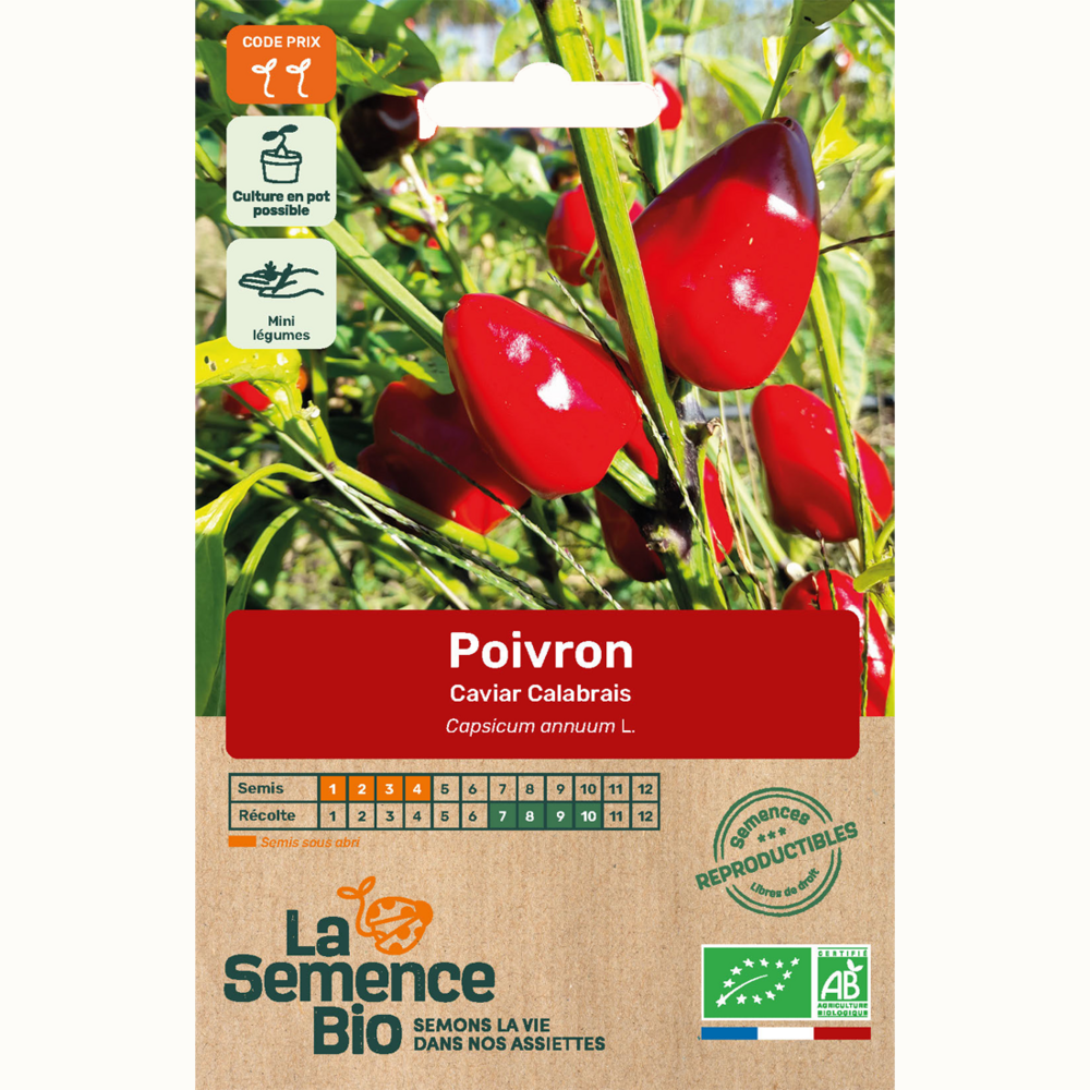 Poivron caviar calabrais - graines bio