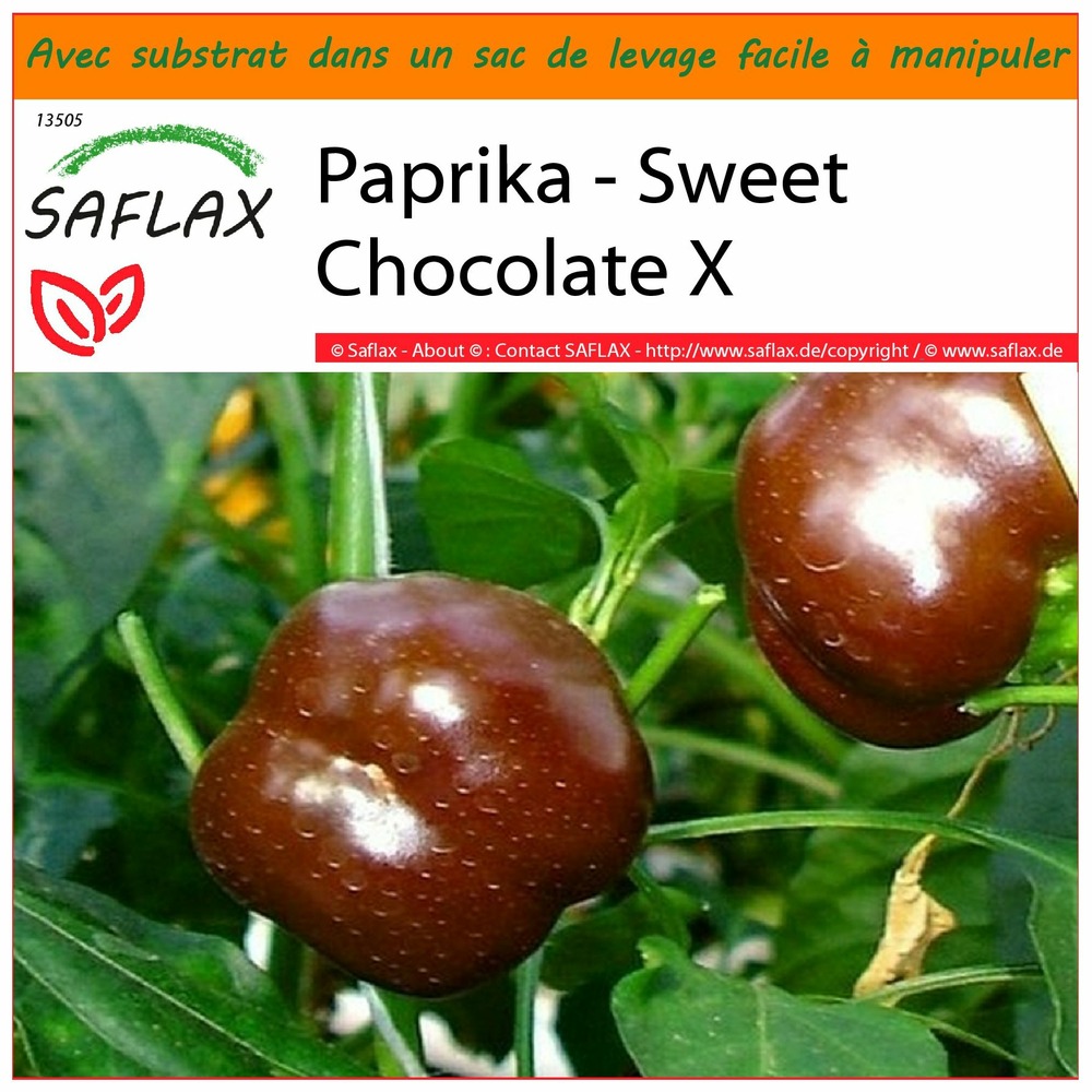 Garden in the bag - paprika - sweet chocolate x - 10 graines - capsicum annum