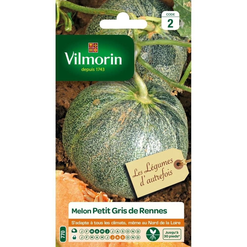 Sachet de graines melon petit gris de rennes