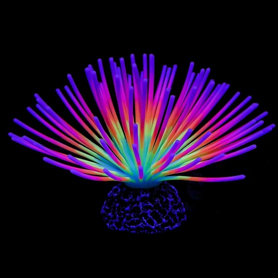 Décoration d'aquarium-décoration d'aquariu moursin-7 x 12 cm - colorée