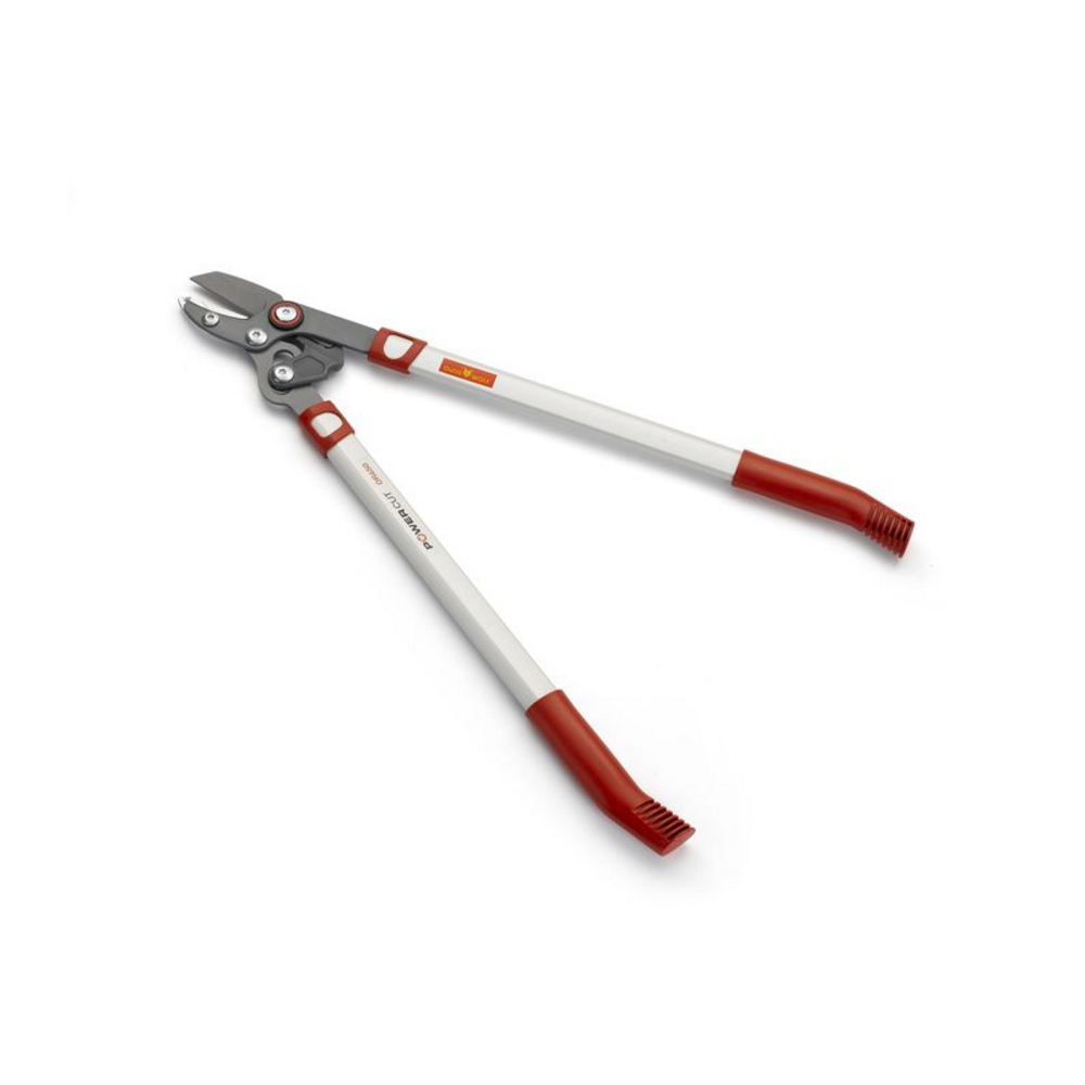 Coupe branche à enclume wolf or650