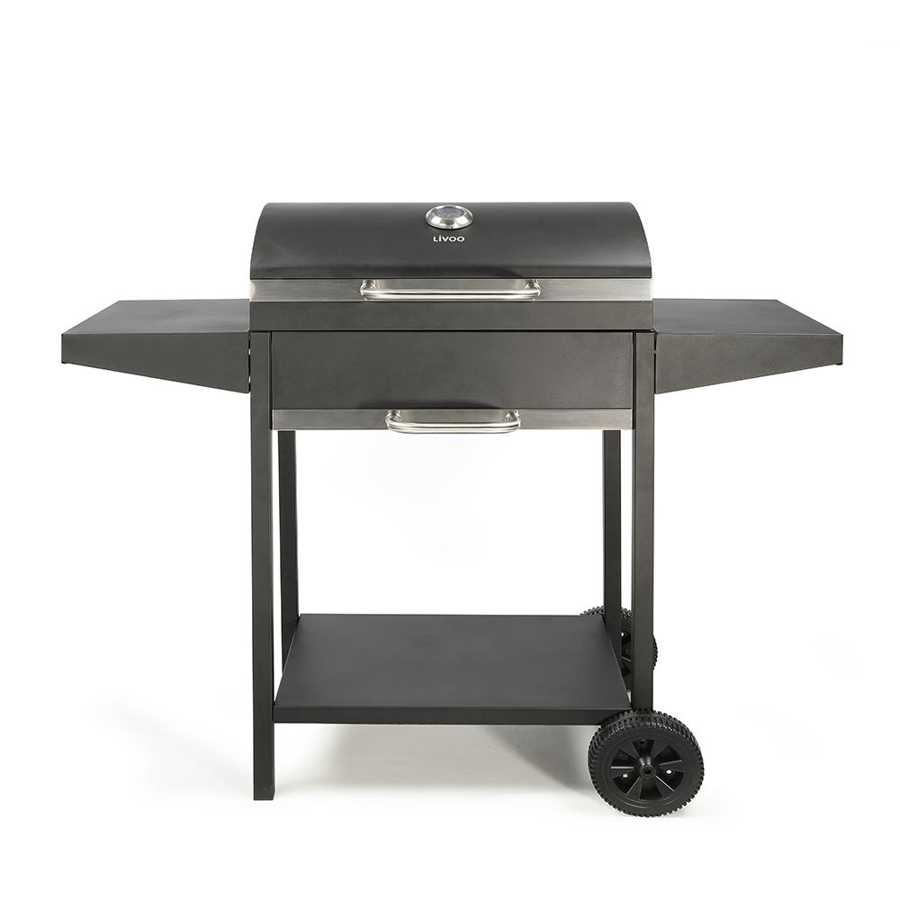 Livoo barbecue à charbon 52.5x37cm avec chariot noir - doc250 | Truffaut