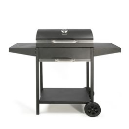 Livoo barbecue à charbon 52.5x37cm avec chariot noir - doc250 | Truffaut