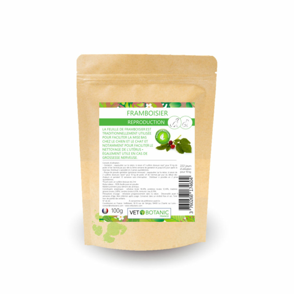 Framboisier feuilles en poudre - reproduction chiens et chats