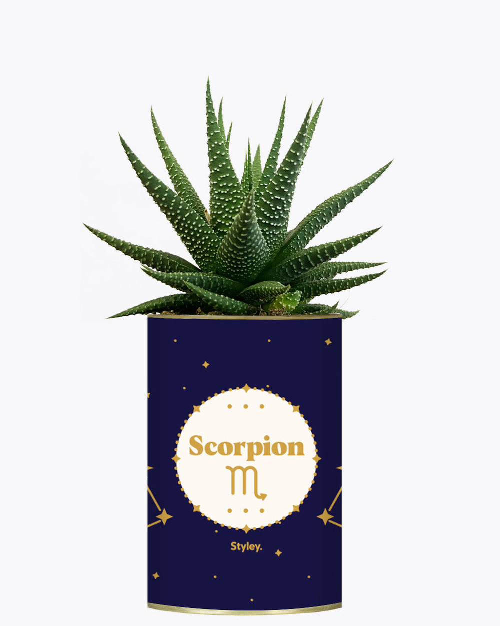 Idée cadeau - astrologie - plante zodiac