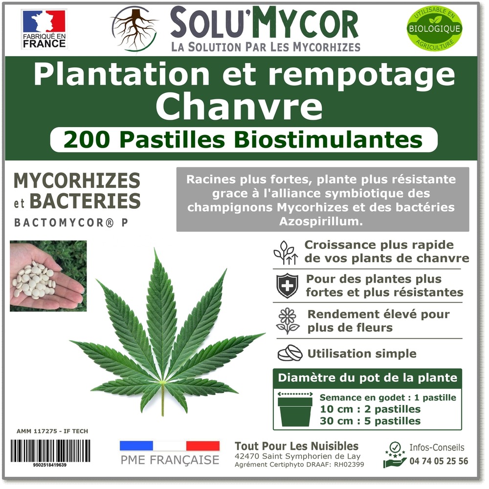 Solumycor 200 pastilles biostimulantes chanvre ideal pour semis et plantation mycorhizes et bacteries azospirillum