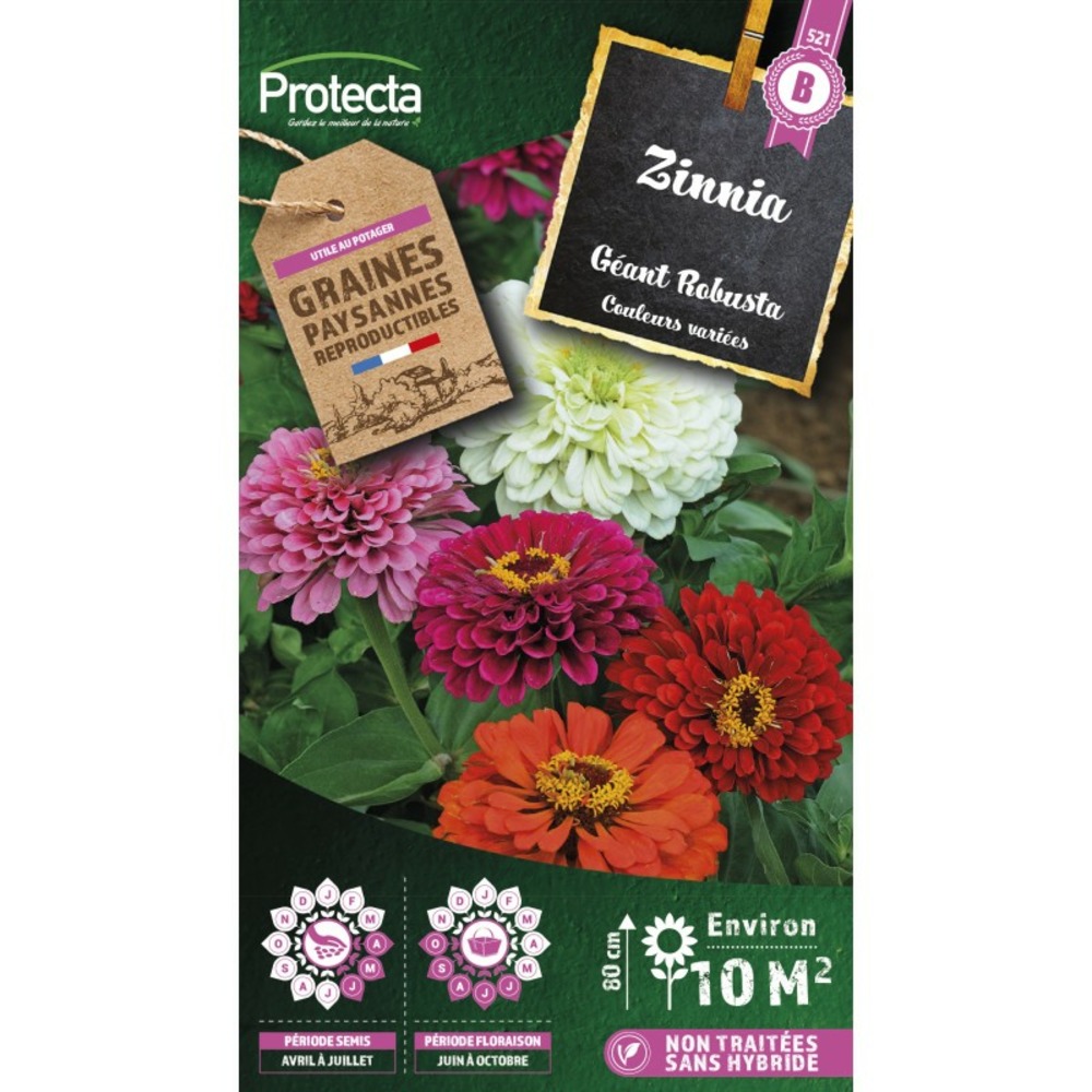 Graines paysannes - zinnia géant robusta