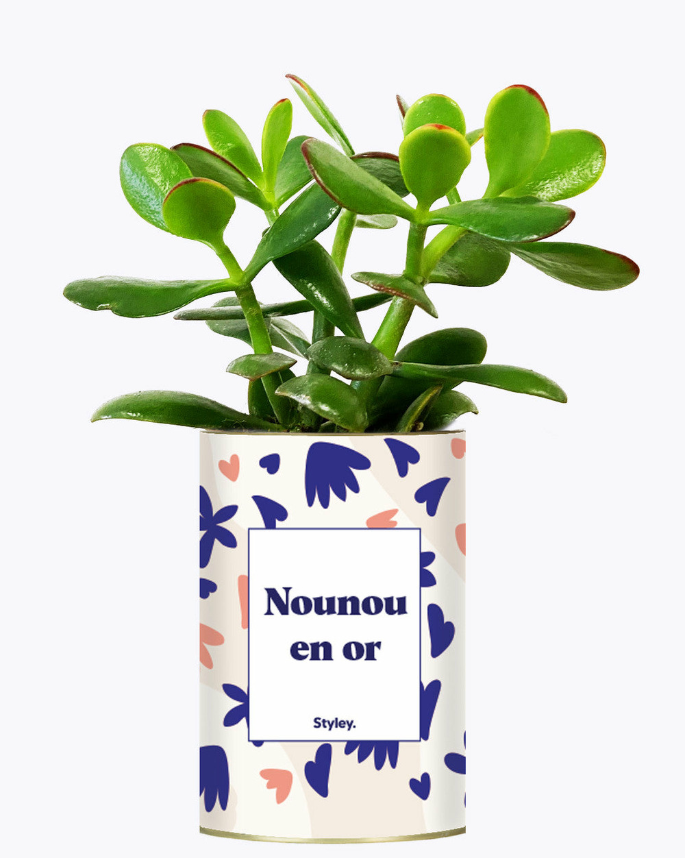 Idée cadeau - nounou en or - cactus